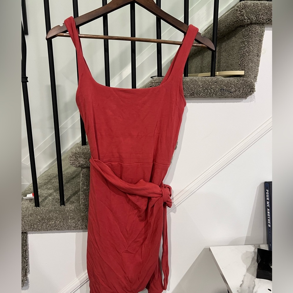 Aritzia Dress